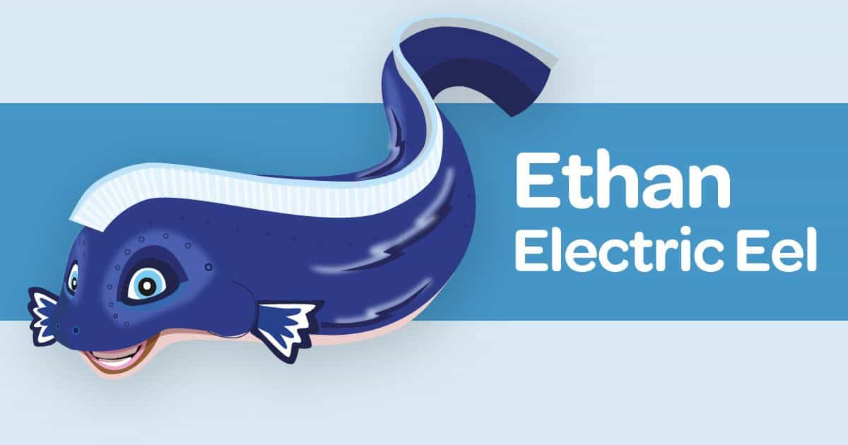 Ethan Electric Eel card