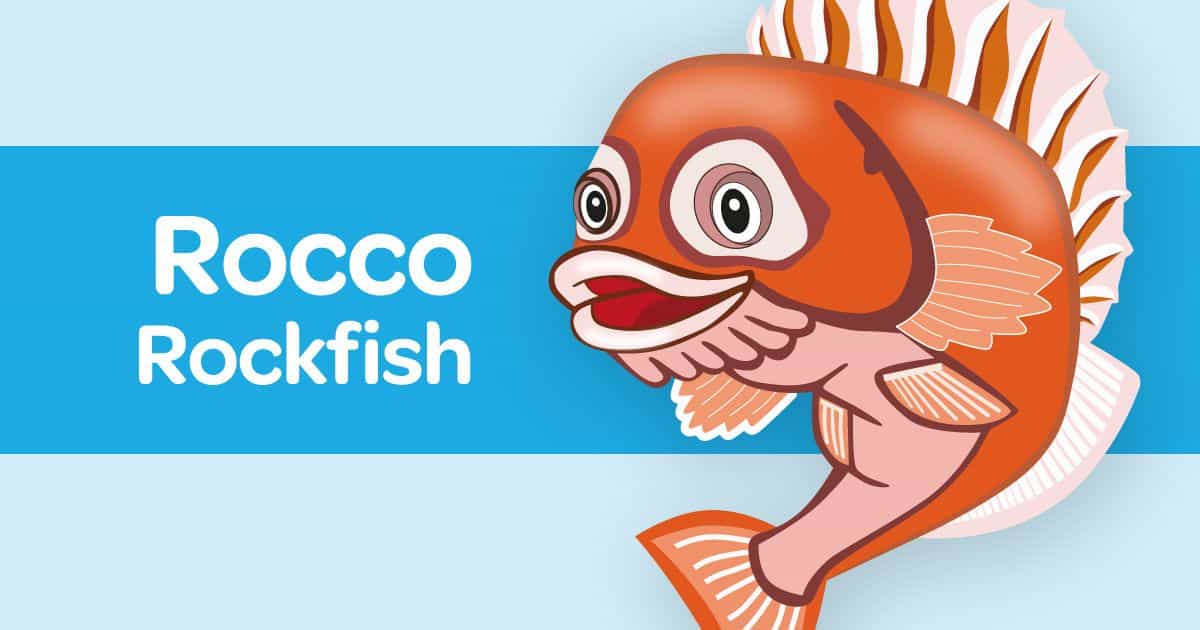 Rocco Rockfish card