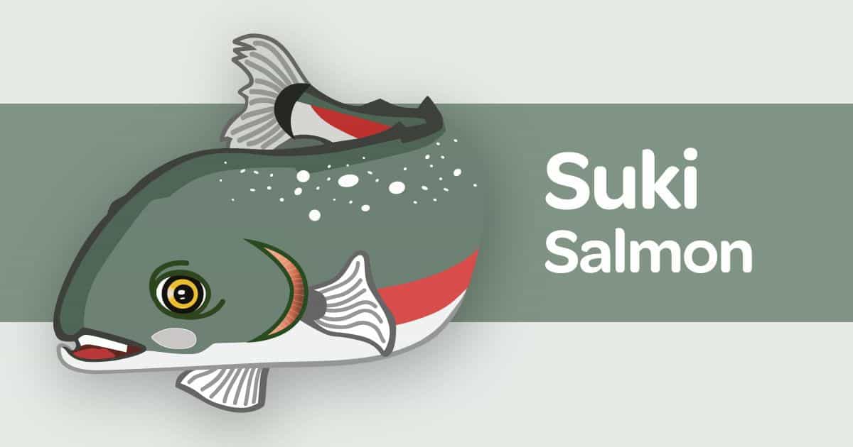 Suki Salmon card