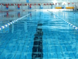 Adaptive swimming lessons for kids and adults with disabilities.