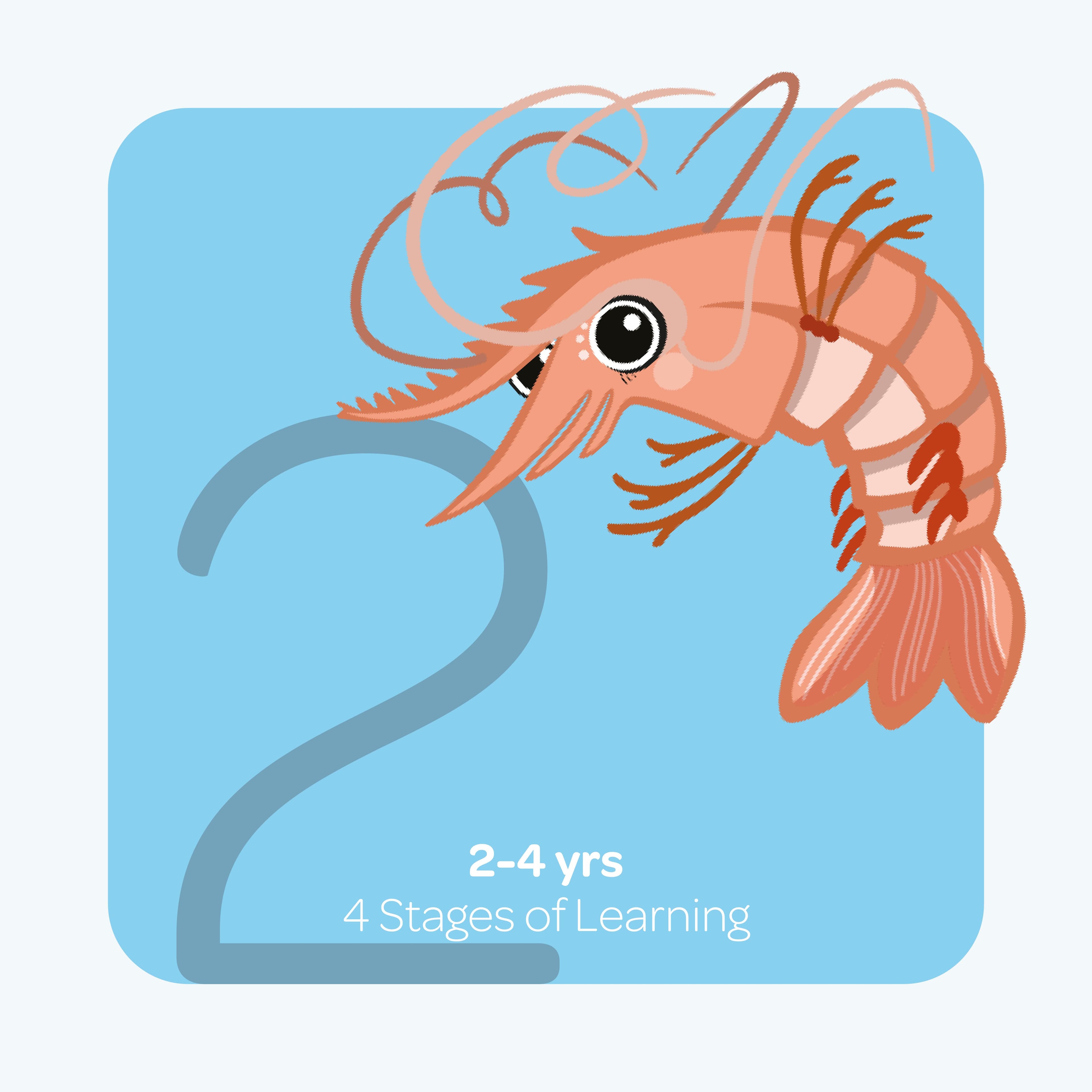 Child splashing in the Ocean