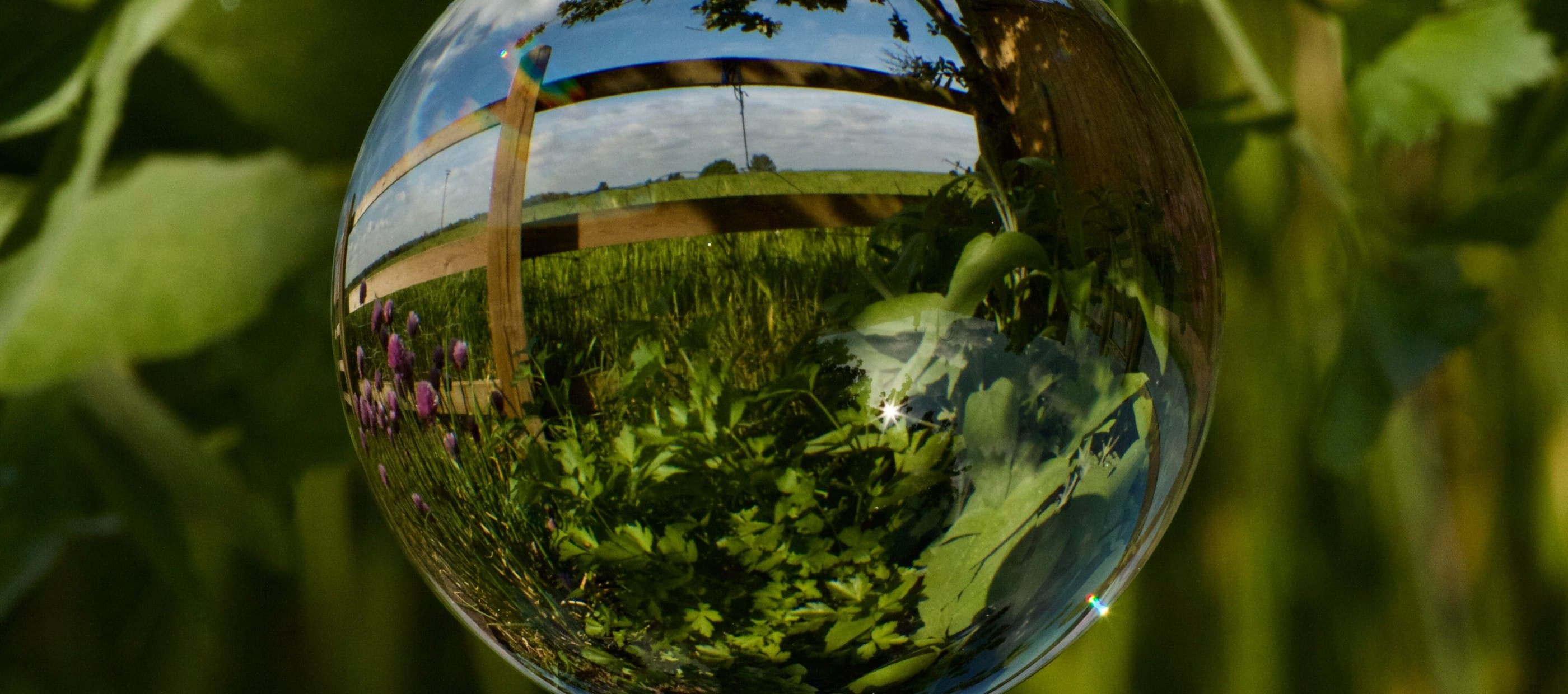 Swimming Lessons in Cheshire