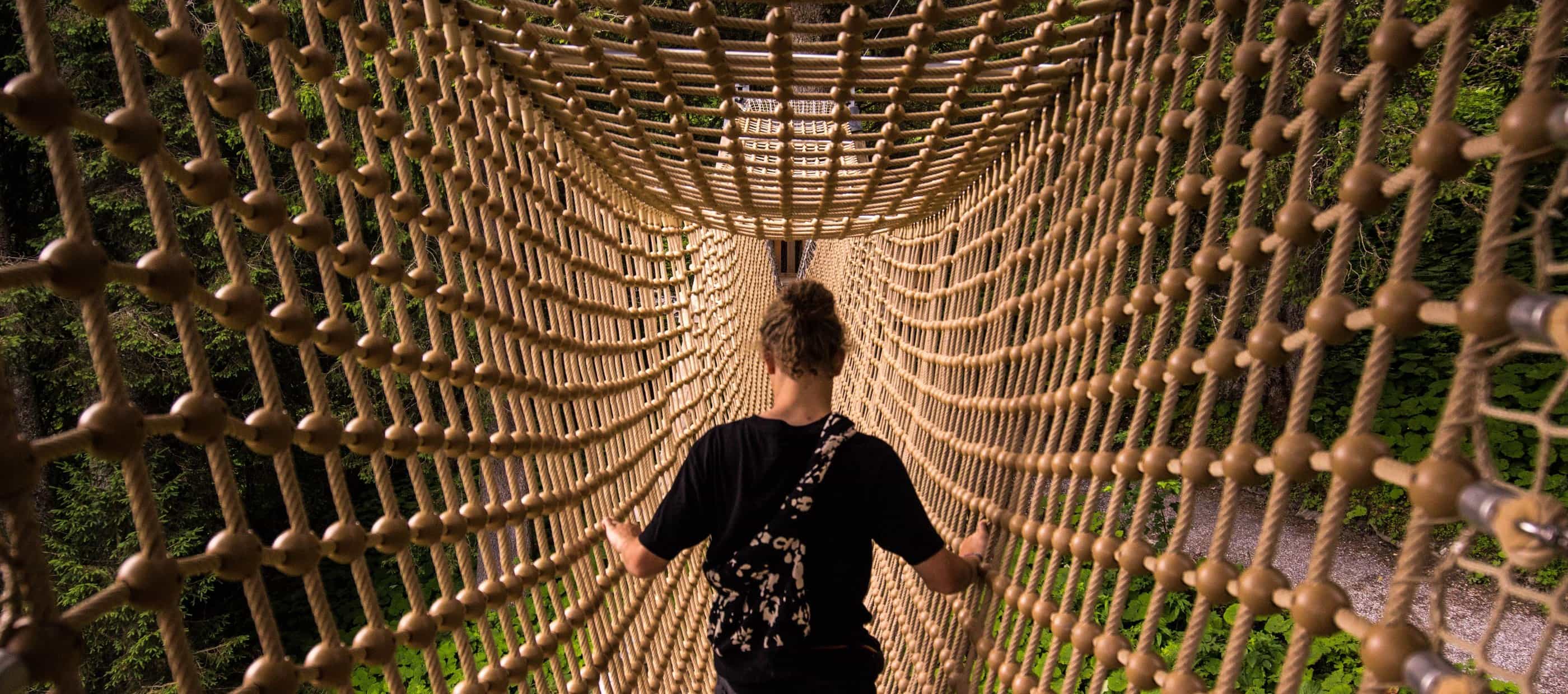 Start a business with a ready-made safety net