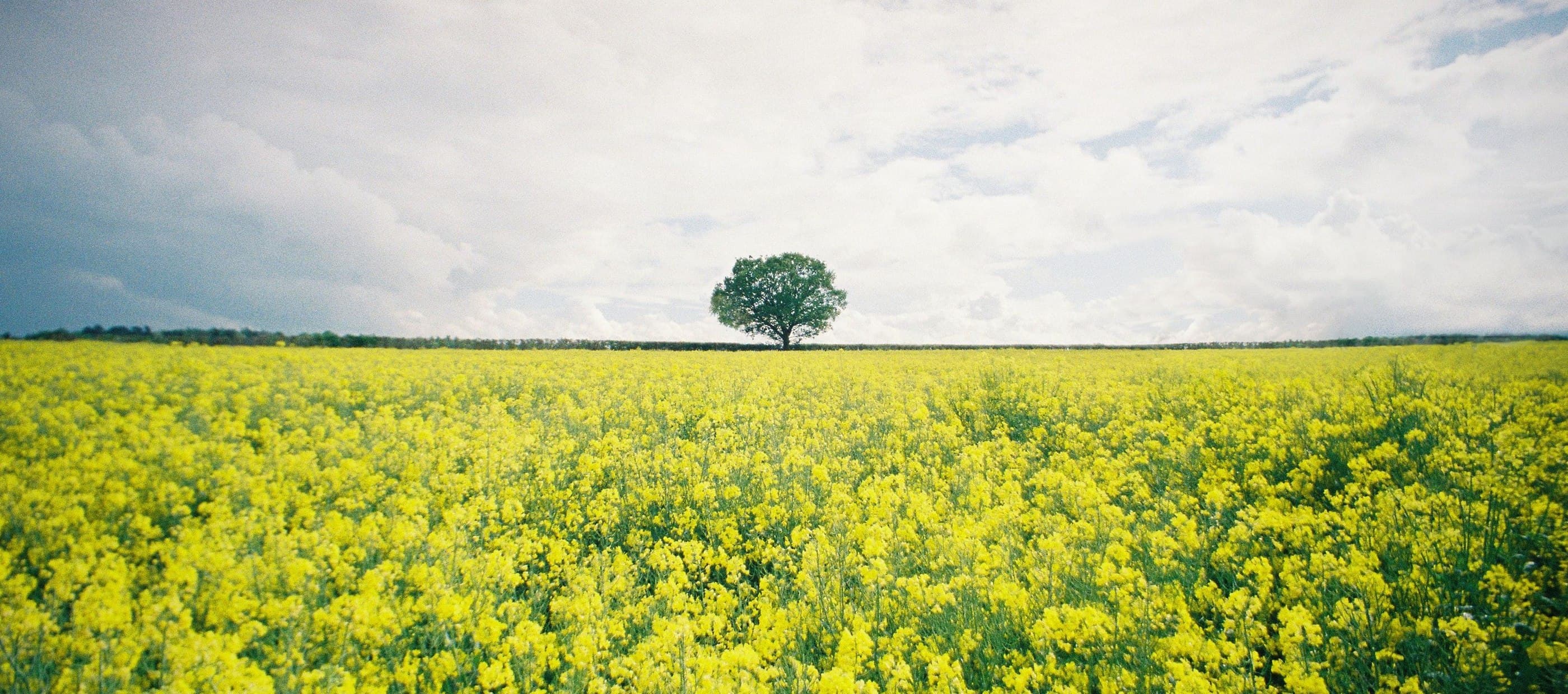 Swimming Lessons in South East