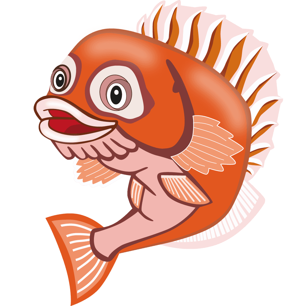 Rocco Rockfish: Swimming Lessons for children