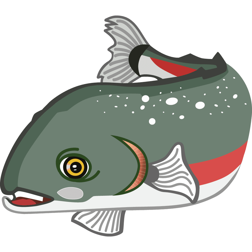 Suki Salmon: Swimming Lessons for children - advanced Swimmers