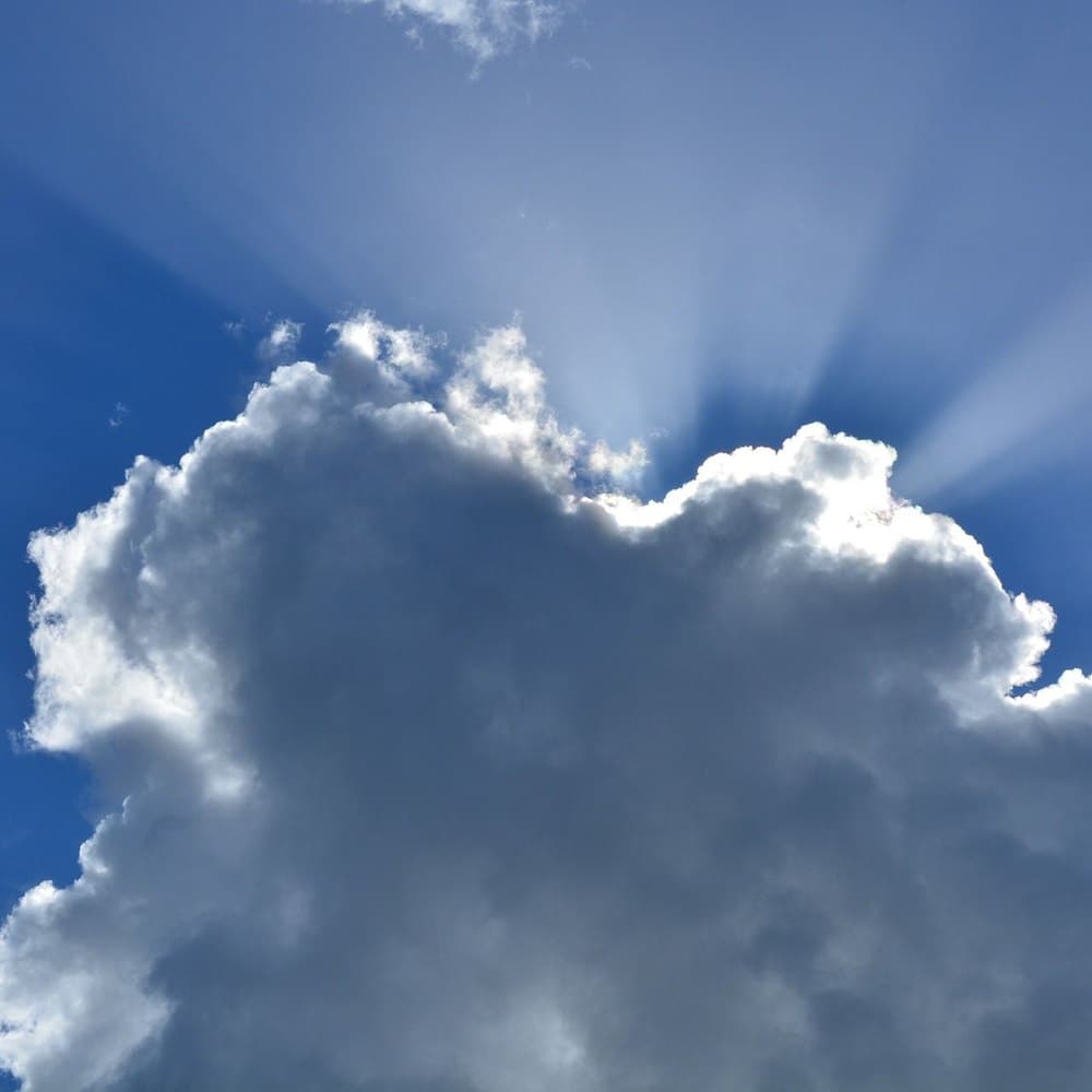 Swimtime North Lancashire’s Jo Drury helps raise over £1,400 for charity